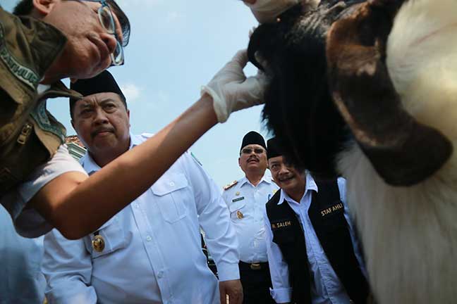 Bupati Jombang, Warsubi, usai melakukan inspeksi kesehatan hewan kurban bersama Wakil Bupati Salmanuddin Yazid, Dinas Peternakan, dan sejumlah organisasi perangkat daerah (OPD), Rabu (4/6/2025).